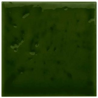PIASTRELLA DA RIVESTIMENTO 10 X 10 TEXTURE LUCIDA COLORE VERDE VITTORIANO
