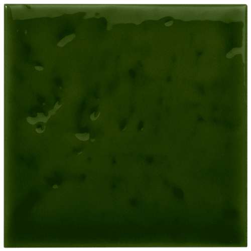 PIASTRELLA DA RIVESTIMENTO 10 X 10 TEXTURE LUCIDA COLORE VERDE VITTORIANO