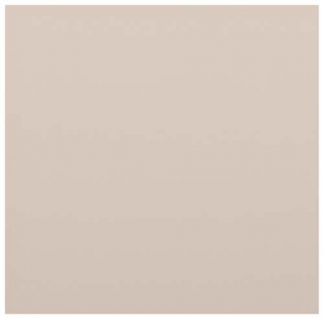 PIASTRELLA DA RIVESTIMENTO 20 X 20 LISCIO OPACO COLORE OSSO